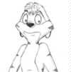 Karamu, the innocent meerkat