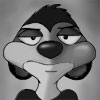 Msondo en suricato :)